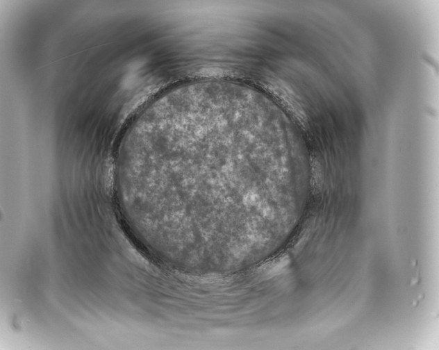 X0000094960016200712201210