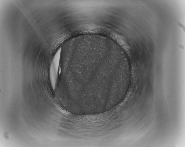 X0000094960017200712201210
