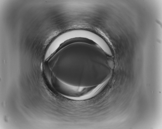 X0000094960019200712201210