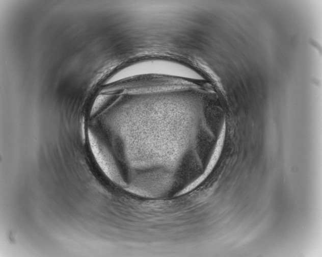 X0000094960020200712201210