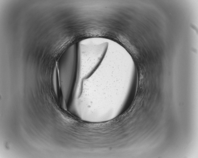 X0000094960021200712201210