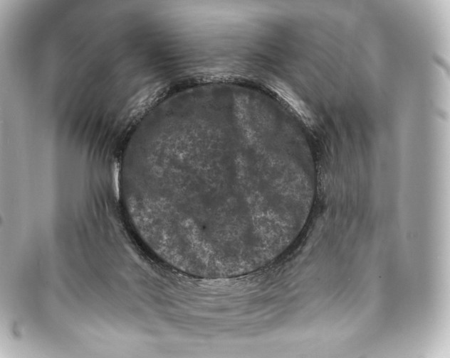 X0000094960022200712201210