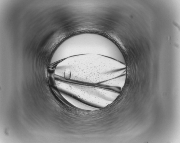X0000094960023200712201210