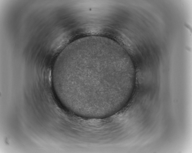 X0000094960024200712201210