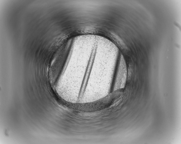 X0000094960025200712201210