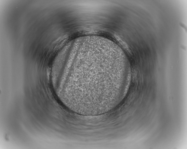 X0000094960026200712201210