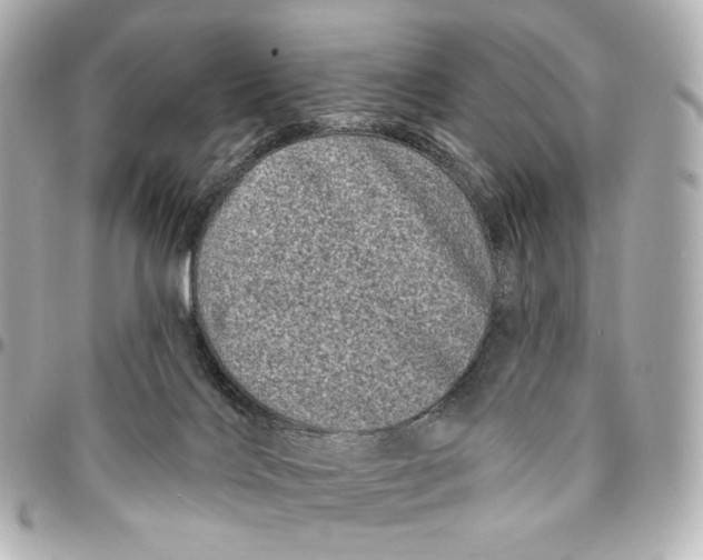 X0000094960028200712201210