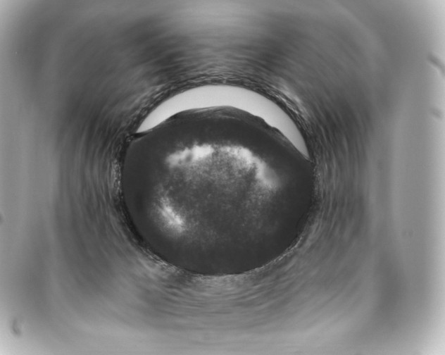 X0000094960029200712201210