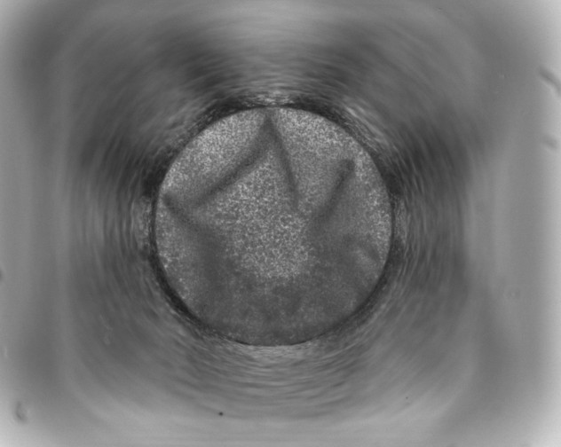 X0000094960030200712201210