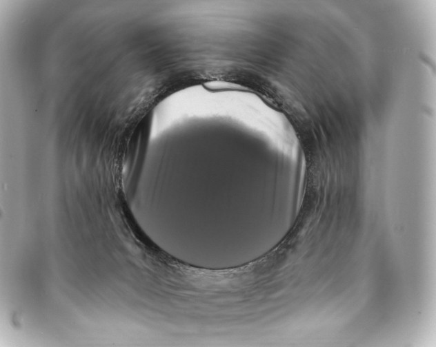 X0000094960031200712201210
