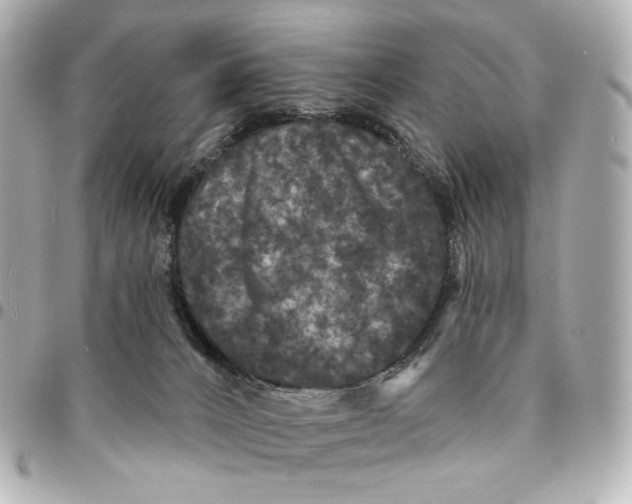 X0000094960032200712201210