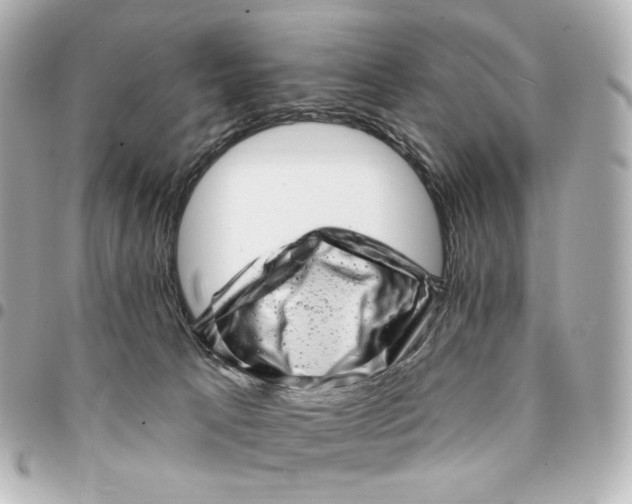 X0000094960033200712201210