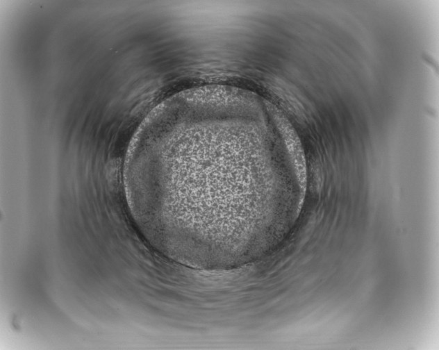 X0000094960034200712201210