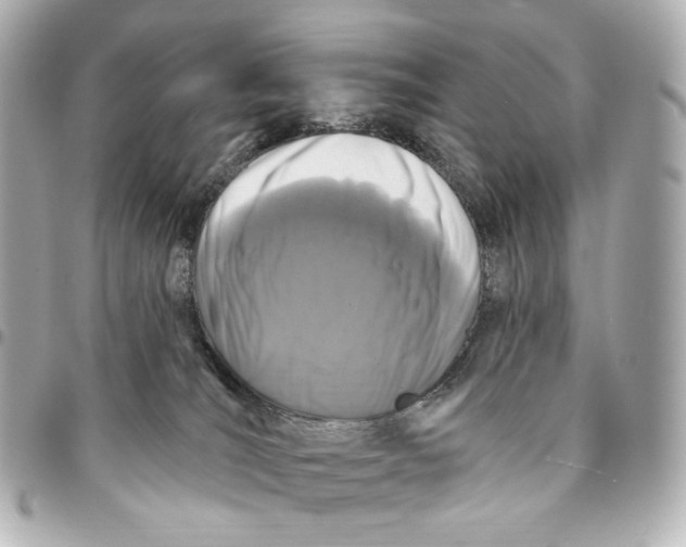 X0000094960036200712201210