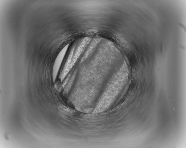X0000094960037200712201210
