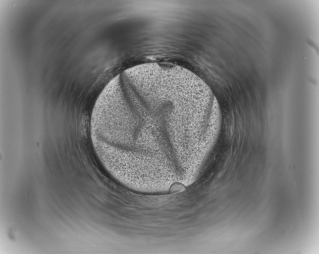 X0000094960038200712201210