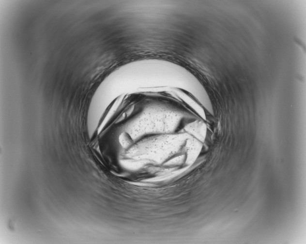X0000094960039200712201210