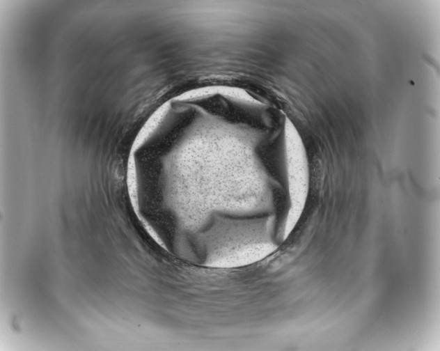 X0000094960040200712201210