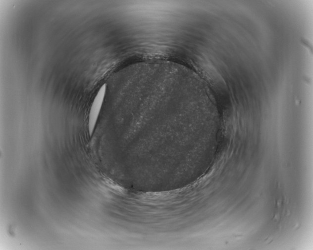 X0000094960041200712201210