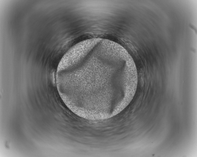 X0000094960042200712201210