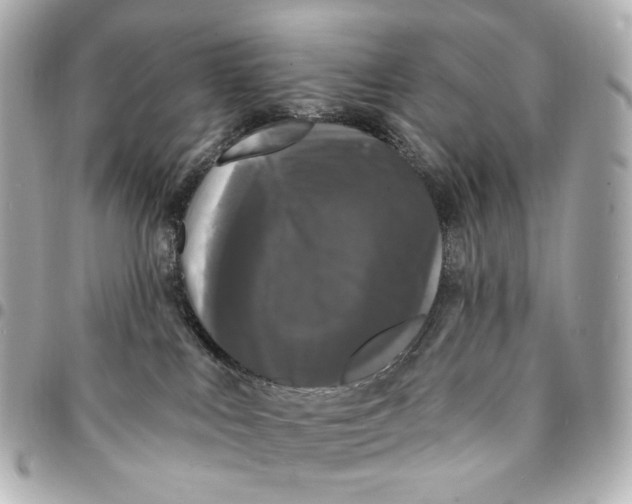 X0000094960043200712201210