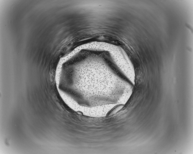 X0000094960044200712201210