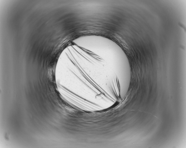 X0000094960045200712201210