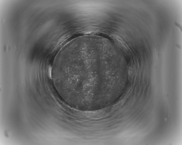 X0000094960046200712201210