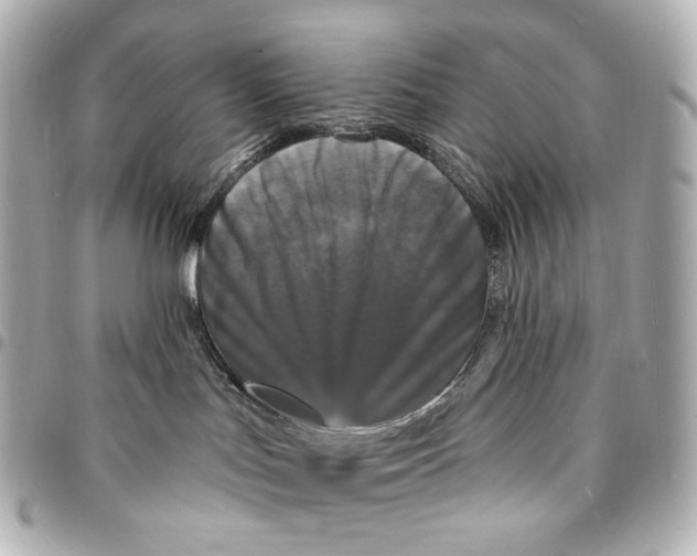X0000094960047200712201210