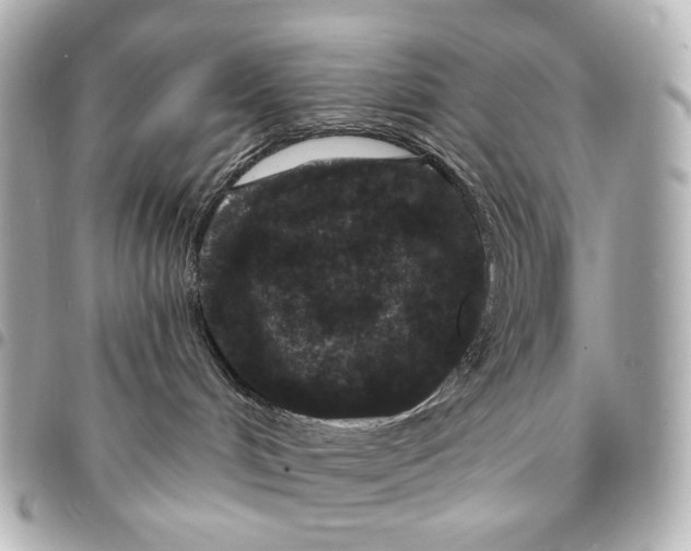 X0000094960048200712201210