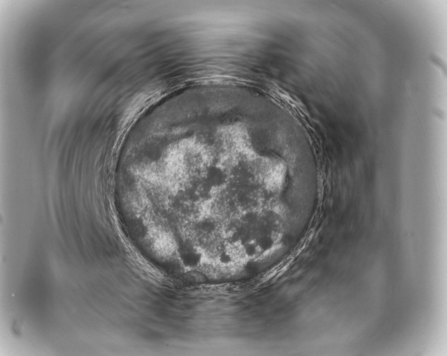 X0000094960049200712201209