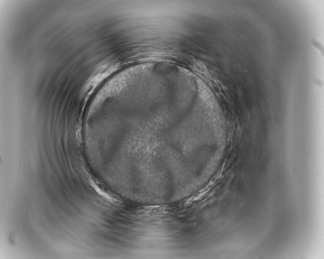 X0000094960050200712201209