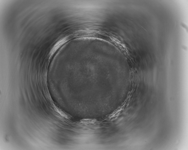 X0000094960051200712201209