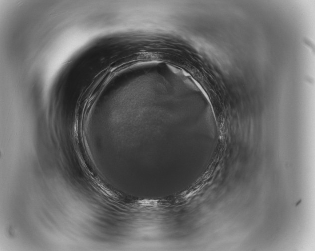 X0000094960052200712201209