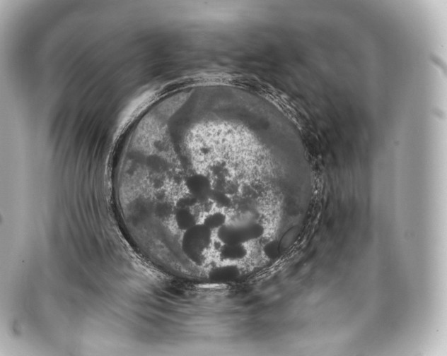 X0000094960053200712201209