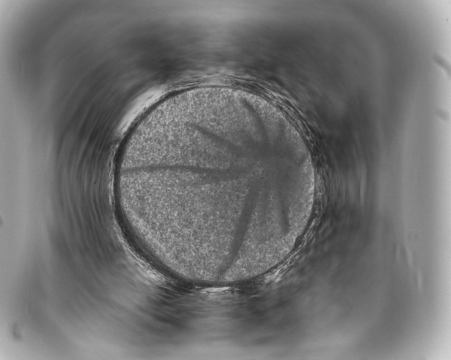 X0000094960054200712201209