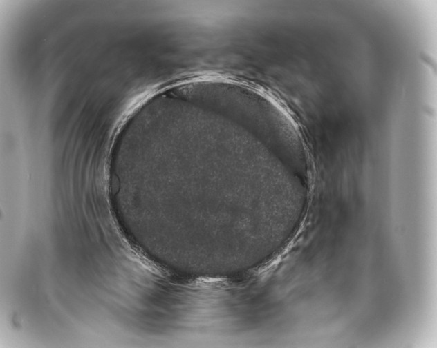 X0000094960055200712201209