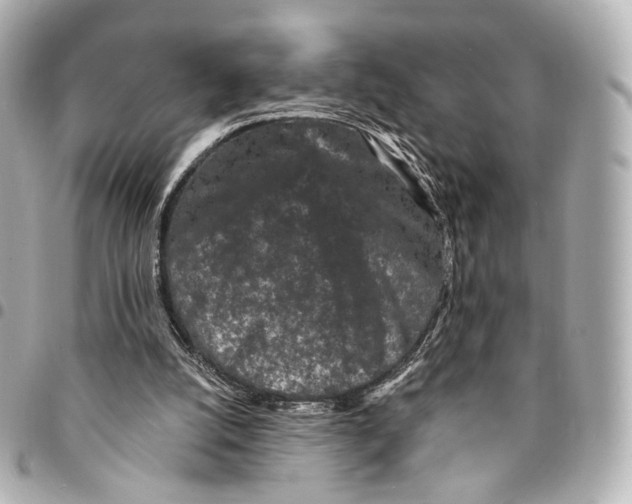 X0000094960056200712201209