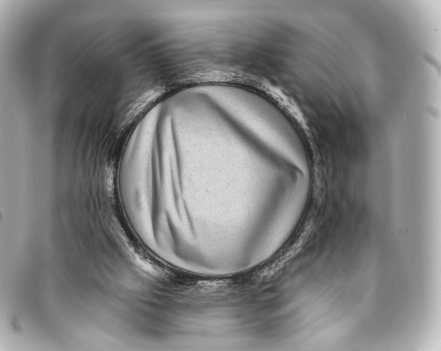 X0000094960057200712201209