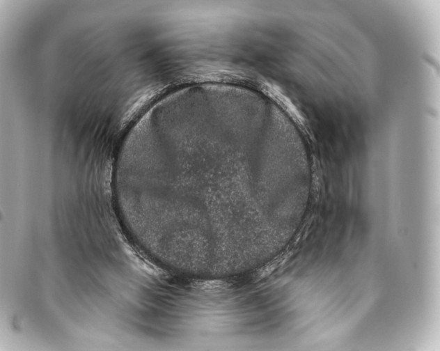 X0000094960058200712201209