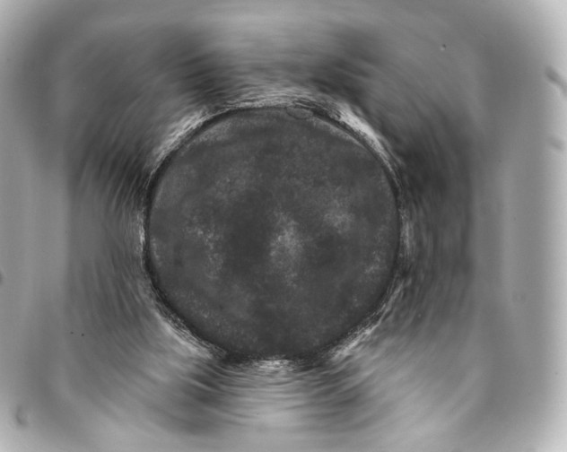 X0000094960059200712201209