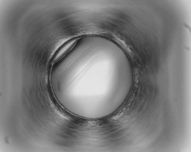 X0000094960060200712201209