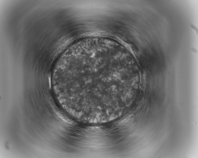 X0000094960061200712201209