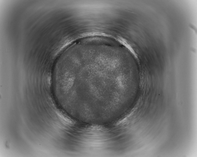 X0000094960063200712201209