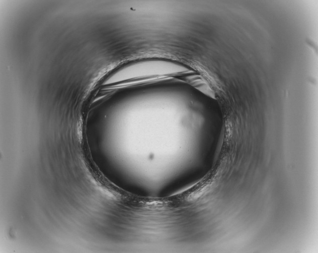 X0000094960064200712201209