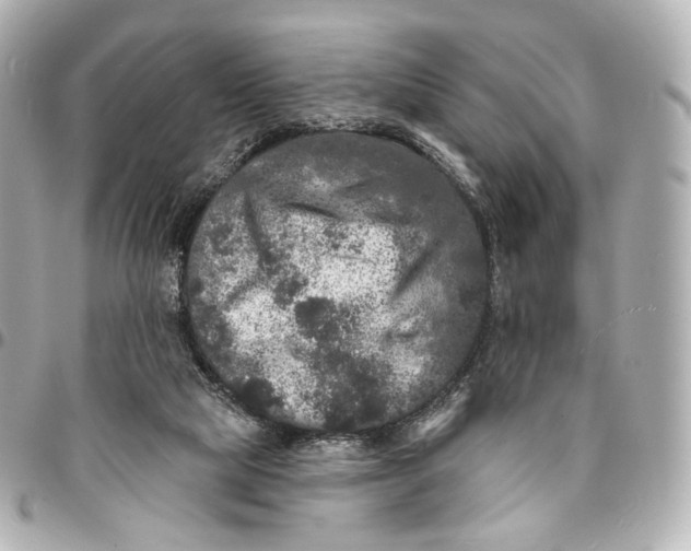 X0000094960065200712201209