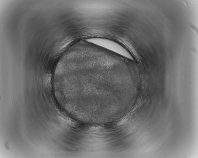 X0000094960066200712201209