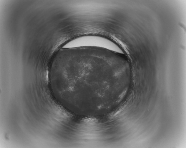 X0000094960067200712201209