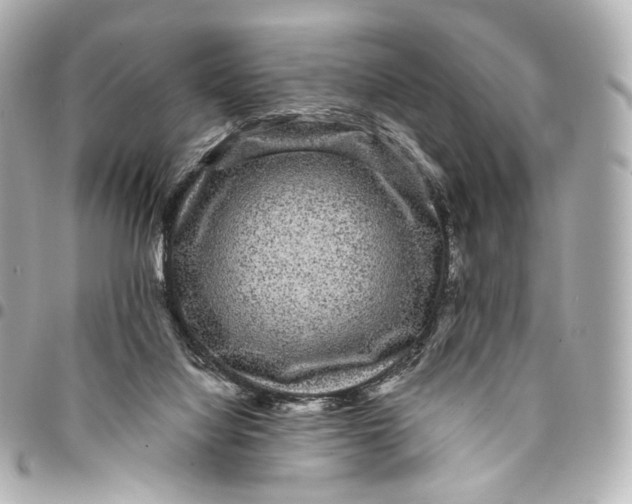 X0000094960068200712201209