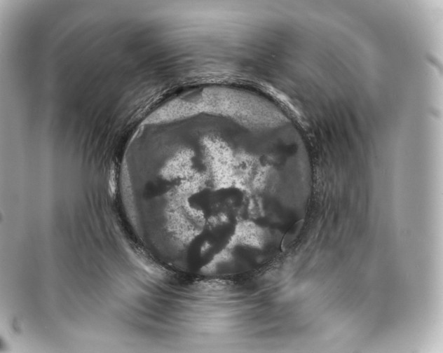 X0000094960069200712201209